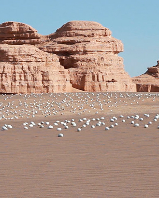 Тысячи яиц в пустыне Гоби: инсталляция Ши Шаопеня