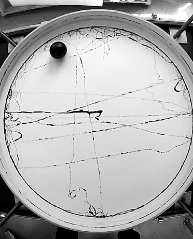 Рисовальная машина Олафура Элиассона