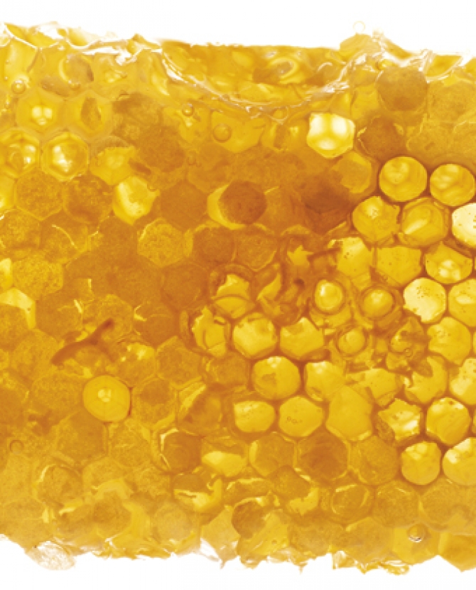 Сладкая жизнь: медовая косметика