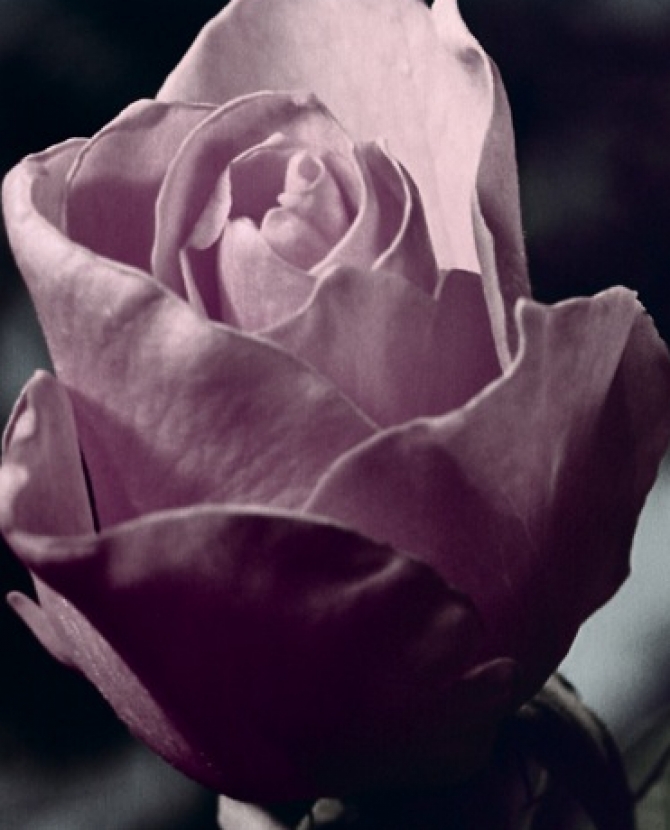 Видео в поддержку нового аромата H&M