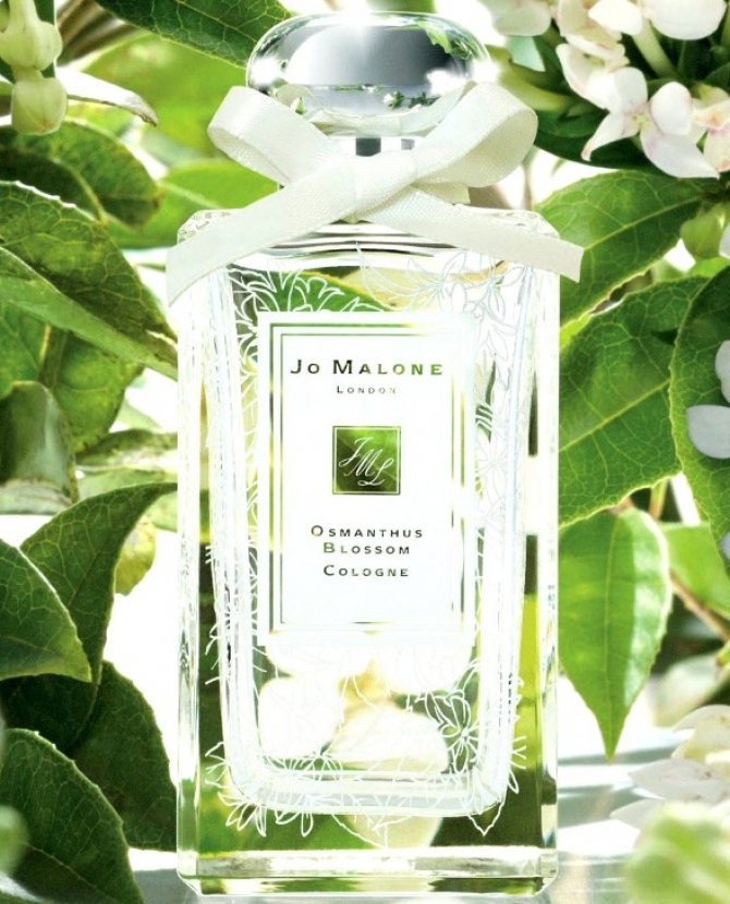 Новый аромат Jo Malone