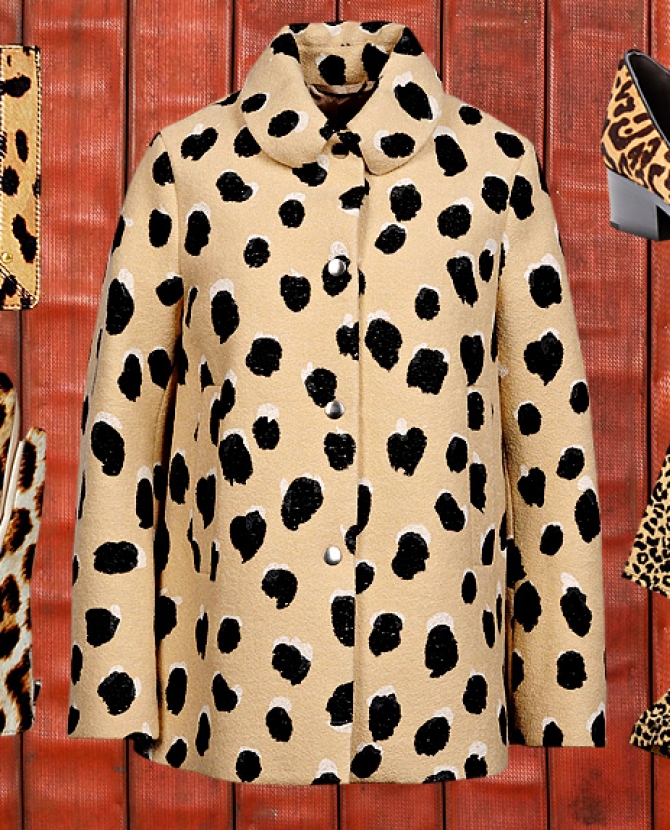 Леопард: 15 лучших вещей