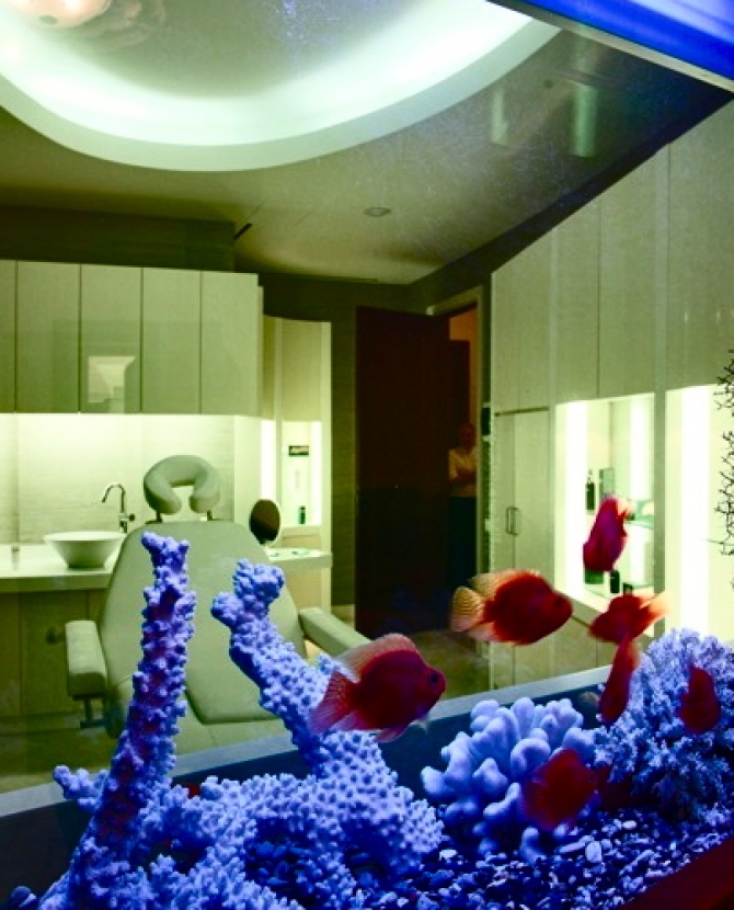 Мультибрендовый подход Articoli Salon & Spa