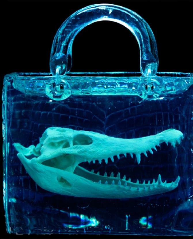 Lady Dior в искусстве