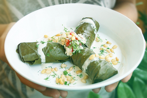 Долма с цветной капустой и кедровыми орешками