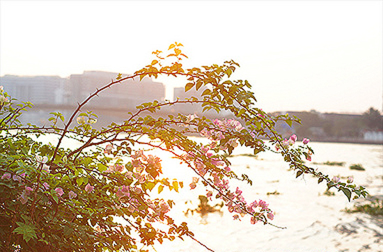 Do's & Don'ts классного путешествия