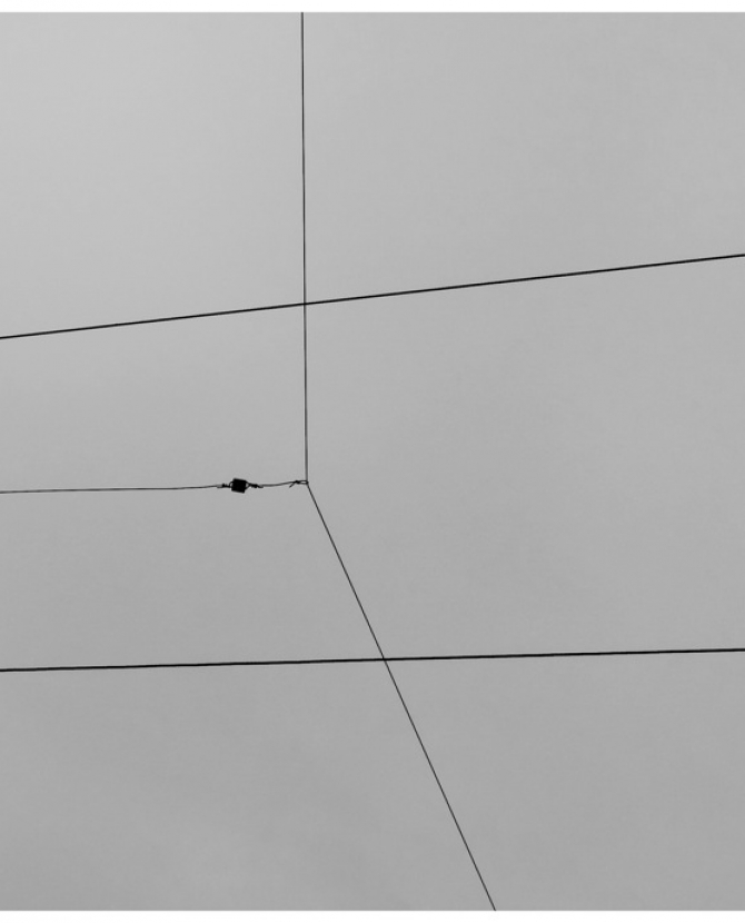 \"Небографика\" Максима Ксуты