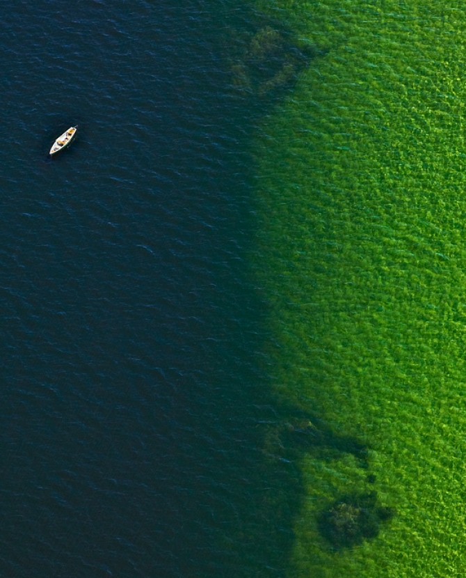 Bernhard Lang: с птичьего полета
