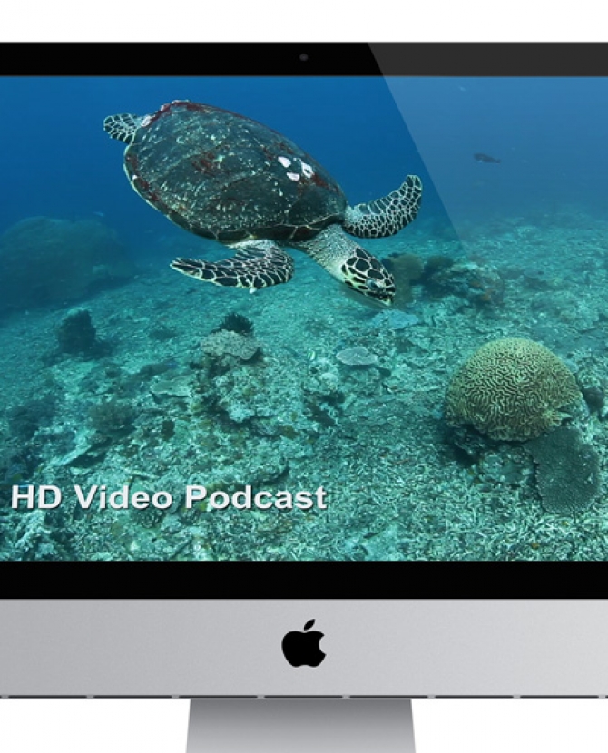 Новый iMaс поступит в продажу 30 ноября 