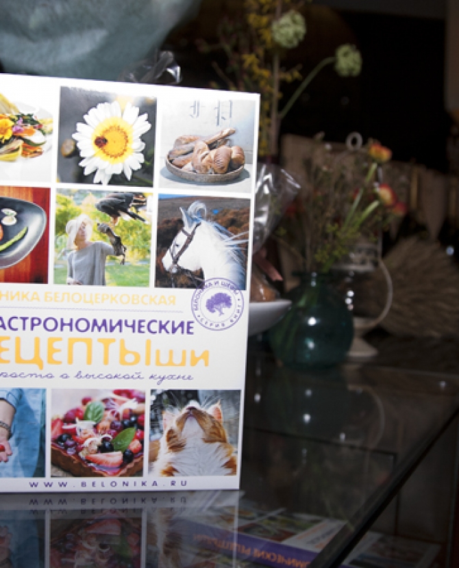 Презентация книги Ники Белоцерковской 