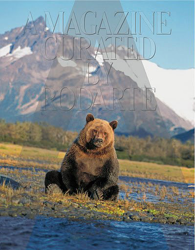 Обложка A Magazine Curated by Rodarte