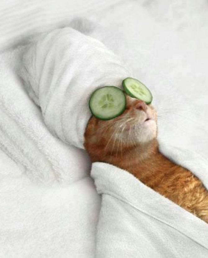 5 действий, восстанавливающих после долгой дороги