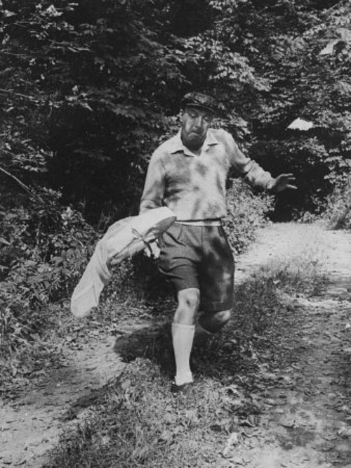 Бабочки Набокова