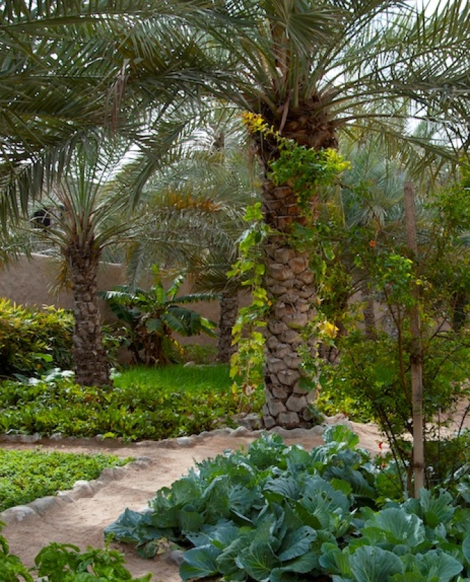 Экоотдых на курортах Six Senses