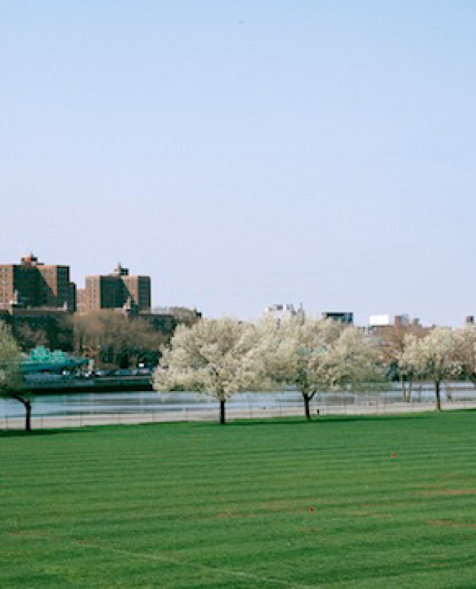 Frieze Art Fair впервые в Нью-Йорке