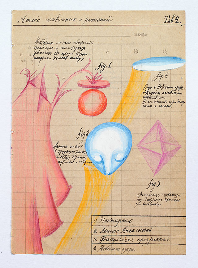 «Атлас животных и растений», 2015 г.