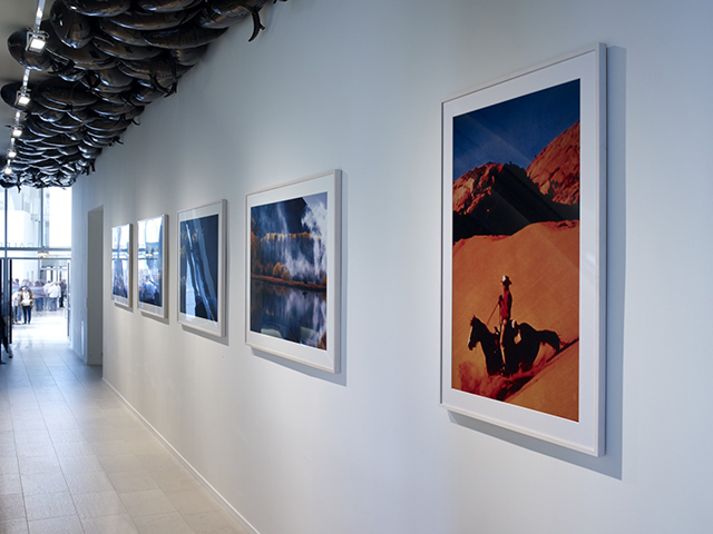 Филипп Паррено, Ричард Принс