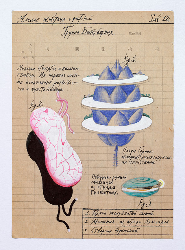 «Атлас животных и растений», 2015 г.