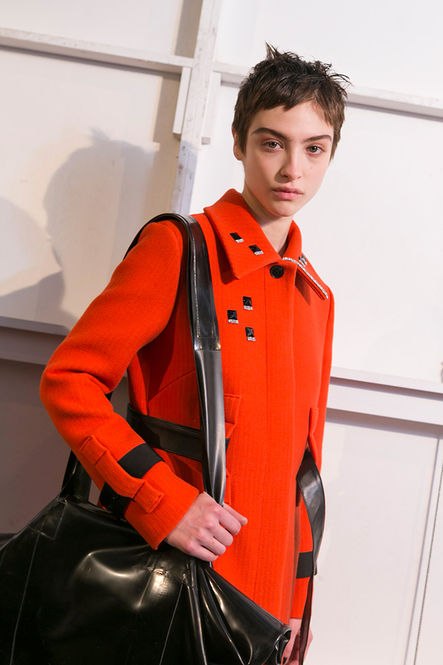 Creatures of the wind