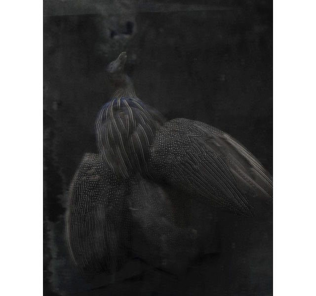 \"Foudroyé en plein vol\", август 2013