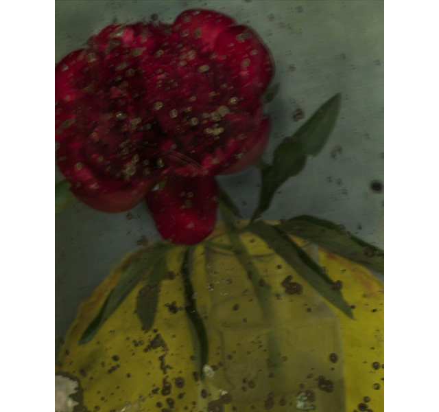 \"L’avant dernière pivoine\", 2011