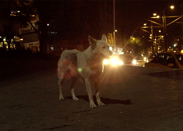 Кадр из фильма «Невинность воспоминаний»