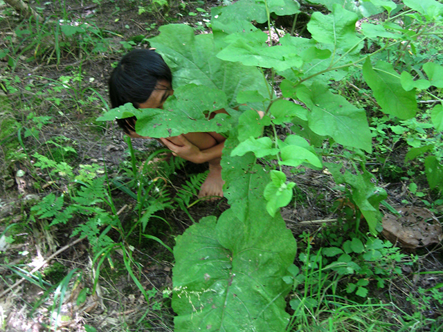Йингмей Дуань и Джоханнес Зитс. Перформанс Embodying Nature in Braunschweig, 2011