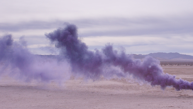 Арианна Филлипс