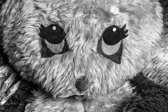 Фотограф Эди Слиман, 2013