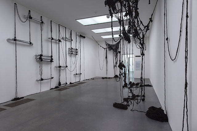 Шила Гоуда, \"Смотри\", 2009