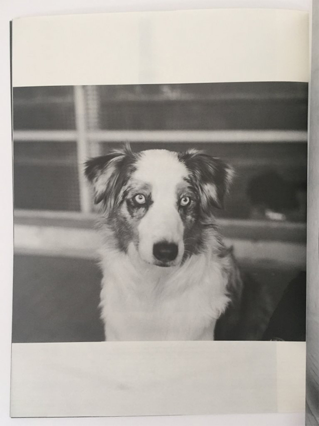 Гоша Рубчинский, The day of my death