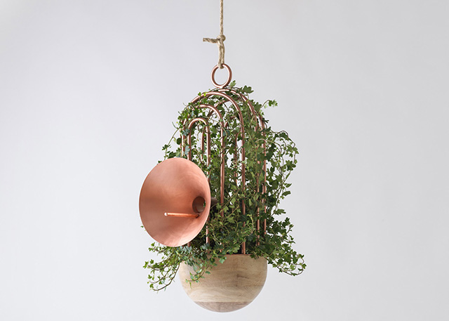 Катя Толстых