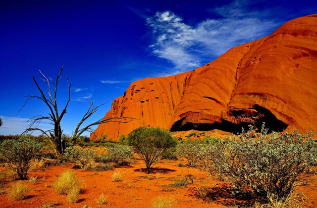 Lizard Island and the Great Barrier Reef