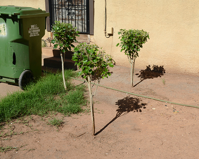 STEPHEN SHORE Winslow, Arizona, September 19, 2013