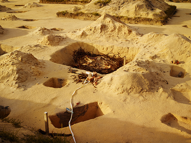 Егор Заика, 2014