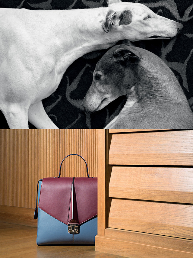 Trussardi Осень-зима 2015/2016