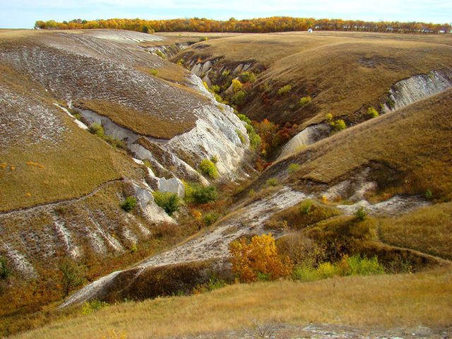заповедник «Дивногорье»