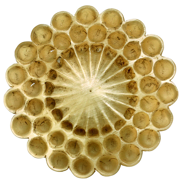 Пуговица Henri Hamm, 1915-1920