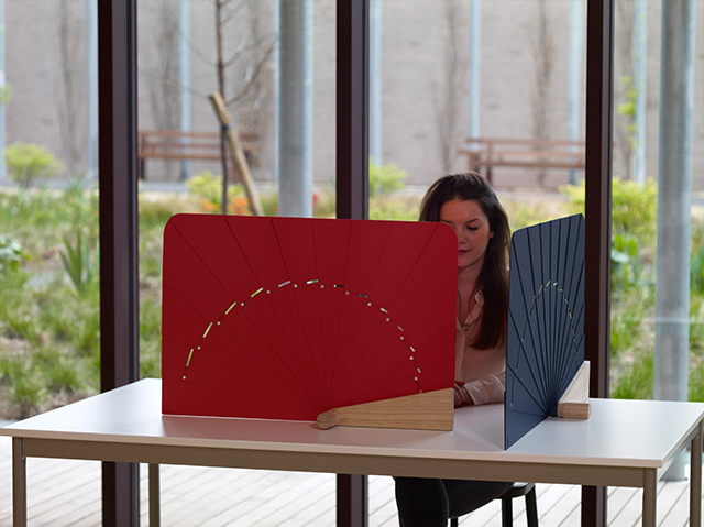 Paul Tubiana, Швейцария. Проект Leon