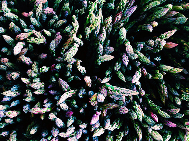 Alexa Seidl - 1е место Еда