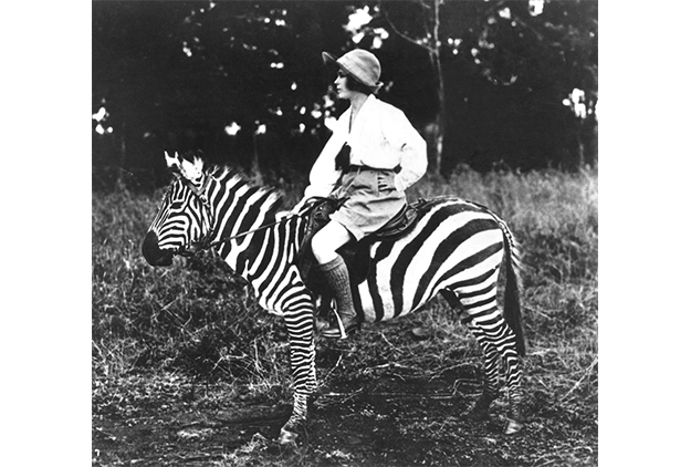 Фото: safarimuseum.com