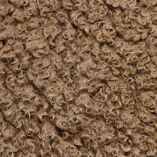 Арабский верблюд