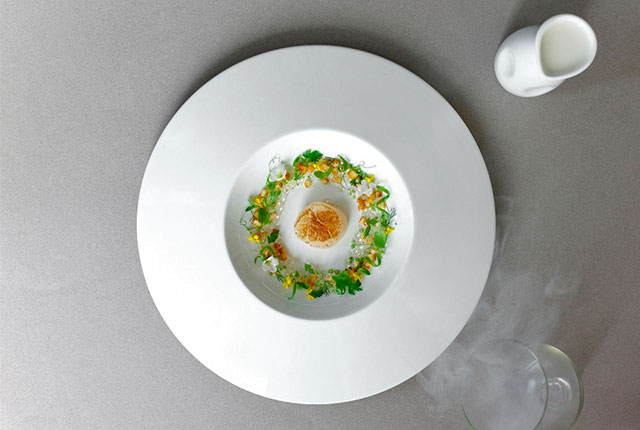 Суп-сельдерей