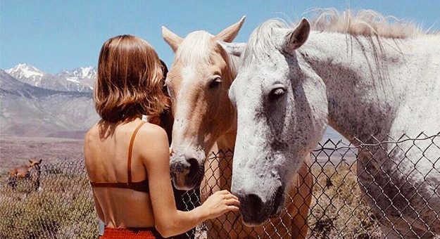 Модный инстаграм недели: мудборд С_l_o