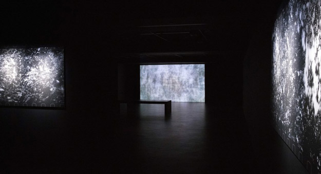 В Москве пройдет мультимедийная выставка японских художников