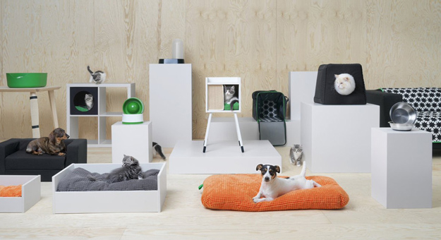 В России появятся товары IKEA для домашних животных