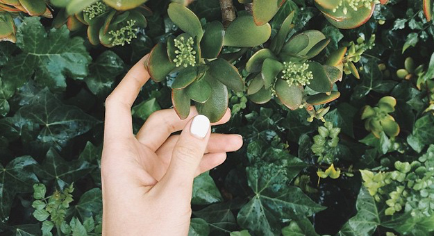 Пилинг, плазмолифтинг и другие способы омоложения рук