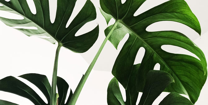 Спирт в косметике: плюсы и минусы