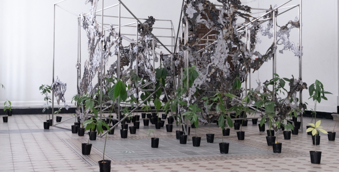 Ярмарка blazar представила участников секции независимых художников