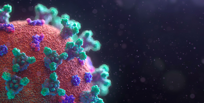 Американские ученые выяснили, что сразу три типа коронавируса могут иметь одно и то же слабое место